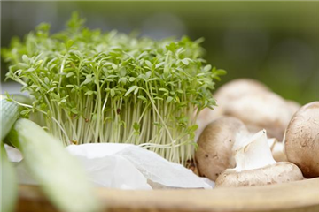 Frische Vitamine von der Fensterbank