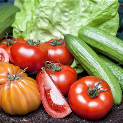 Von Artischocke bis Zucchini!