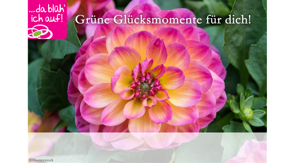 Gutschein+A4+Motiv+13,+Gutschein+A4.pdf_0007_Gutschein+A4+Motiv+9,+Gutschein+A4.png